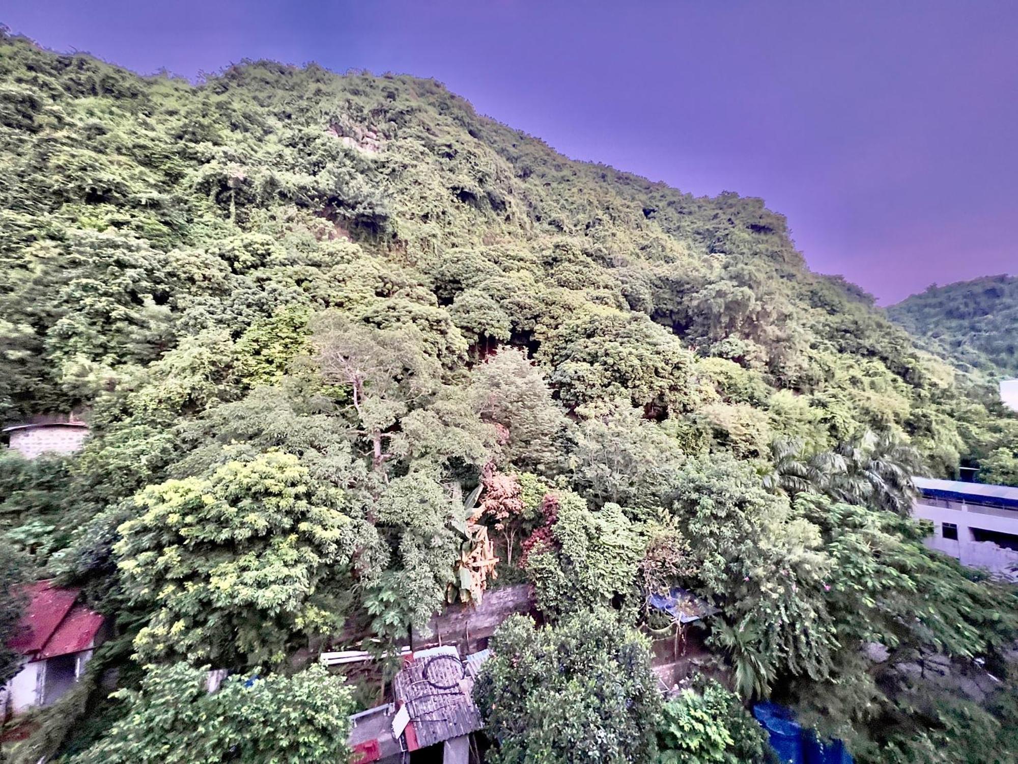 Manh Vuong Hotel Catba Dong Khe Sau Exterior photo